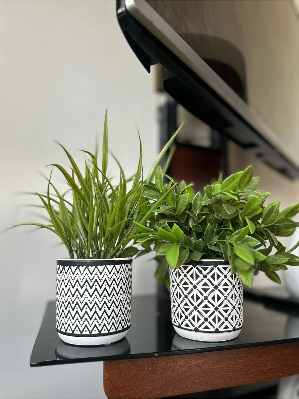 Black and White Patterned Ceramic faux plants  - Set of 2